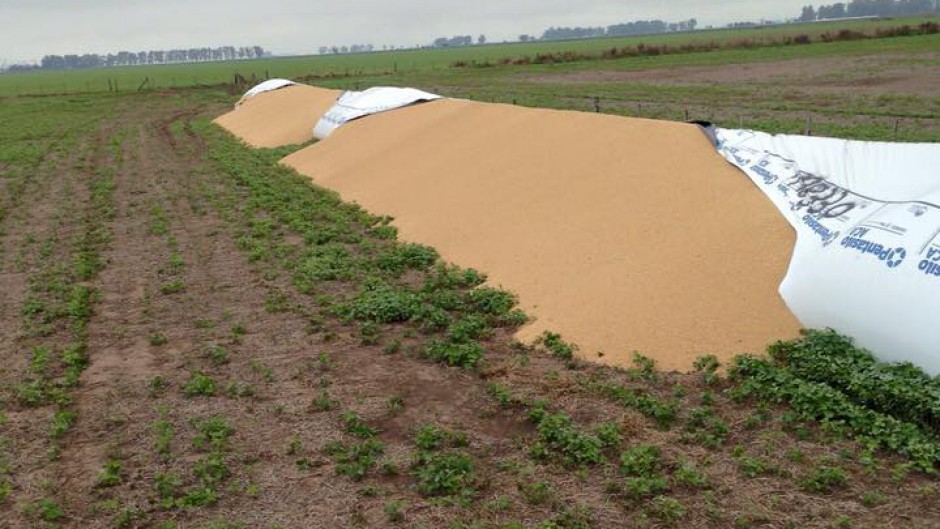 Acusan a políticos, economistas y analistas de promover actos vandálicos en el campo