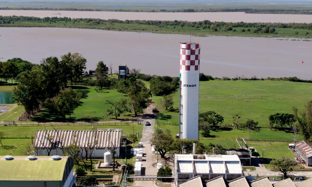 Crisis en Atanor