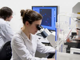 Argentina empezar a desarrollar una vacuna contra el Coronavirus