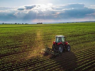 Preocupacin en el campo por las medidas del Banco Central