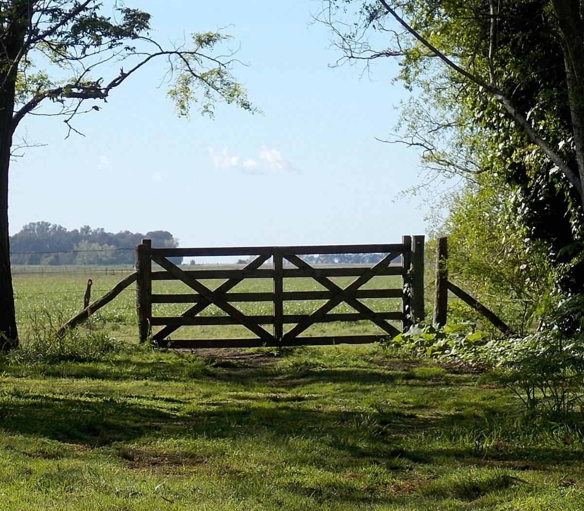 Gran preocupación en el sector del campo por el accionar del Gobierno contra Vicentin