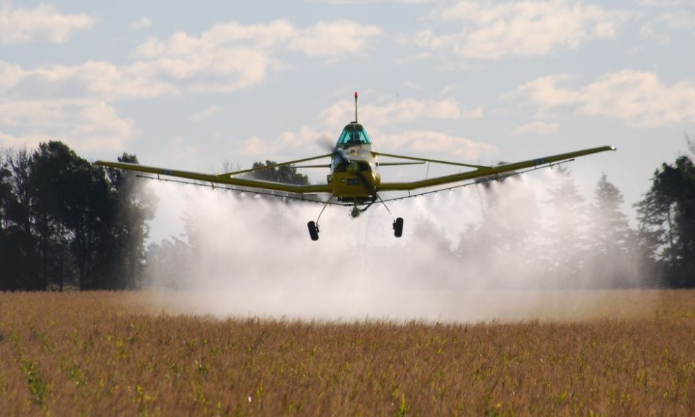 Cautelar pone límites de distancias para fumigar