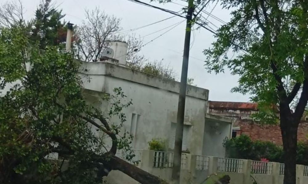 Voladuras de techos y caída de árboles en El Socorro