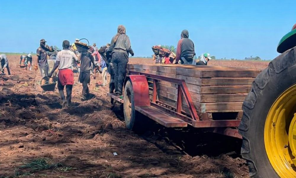 Fuerte denuncia por trabajo irregular en San Pedro