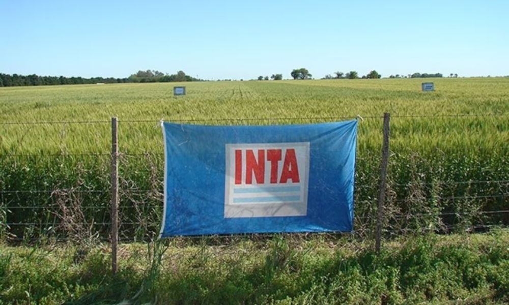 Cierre de agencias del INTA