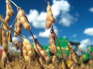 Nuevo golpe al agro: El Gobierno vuelve a subir las retenciones