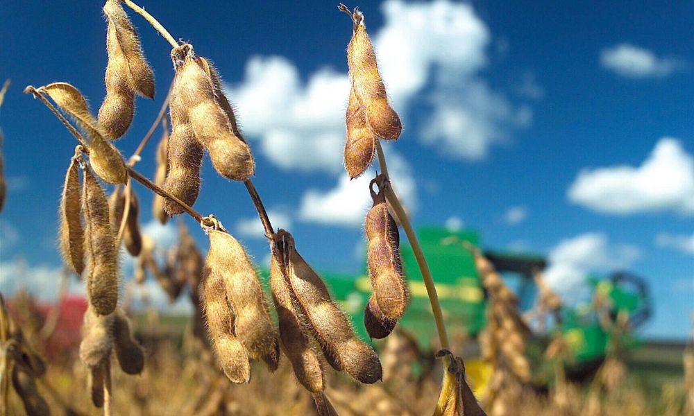 Nuevo golpe al agro