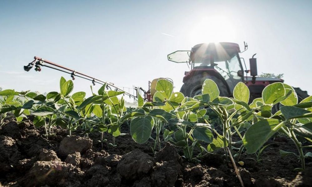 Agroexportadores ingresaron US$ 3.564 millones