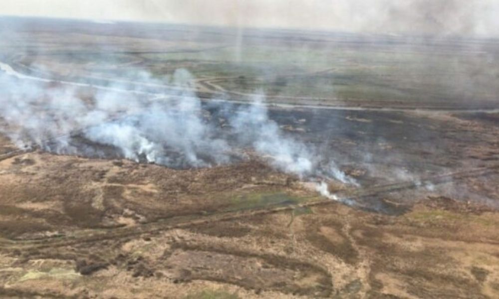 Incendios en el Delta del Paraná