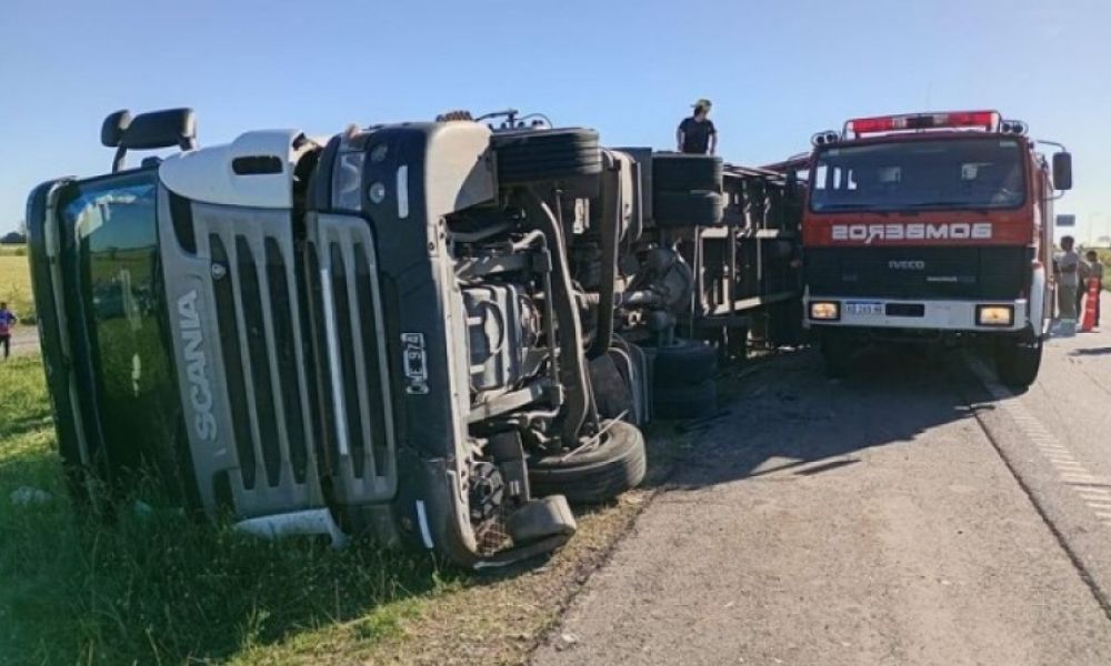 Nuevo saqueo de ganado tras el vuelco de un camión