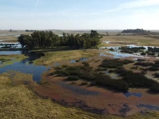 La situacin del noroeste de la provincia de Buenos Aires es desesperante por las inundaciones