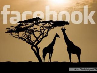 Facebook desembarca en Africa