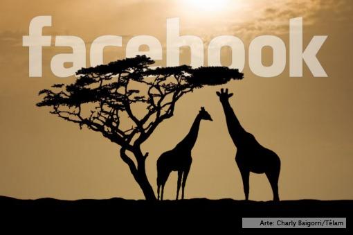 Facebook llega a Africa
