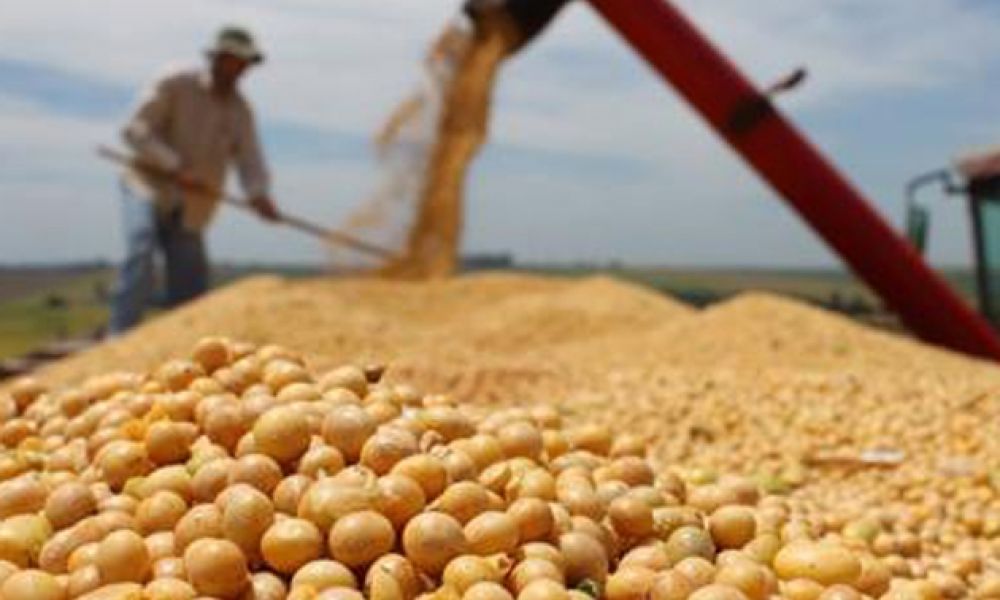 Dolar Soja 2: se vendieron más de 1,7 millones de Tn