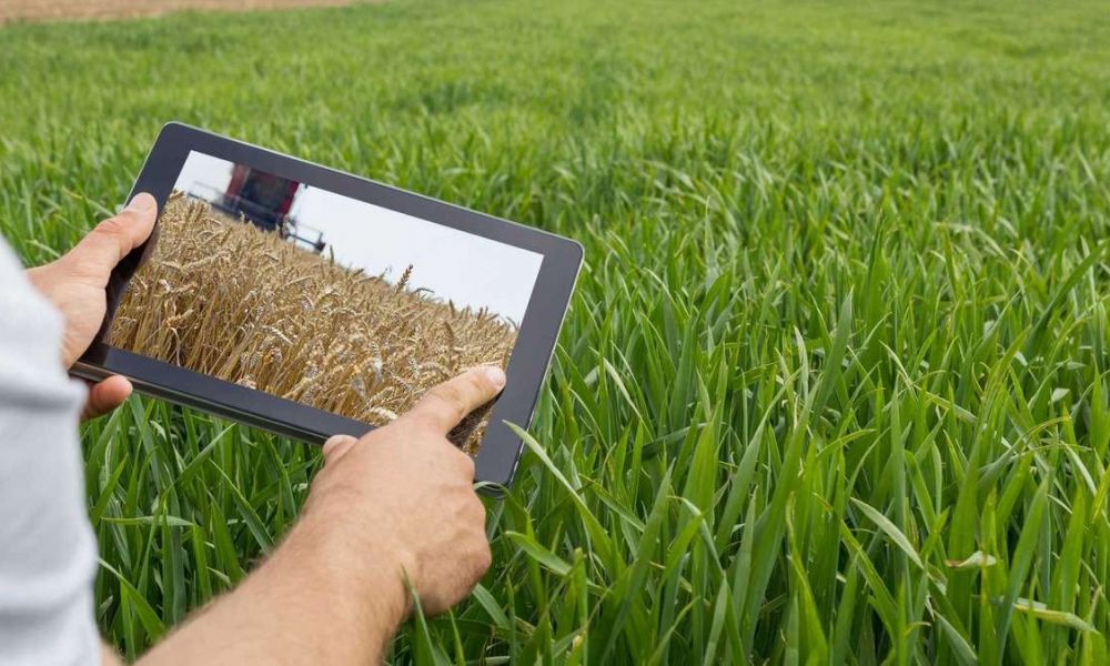 Agricultura en Argentina