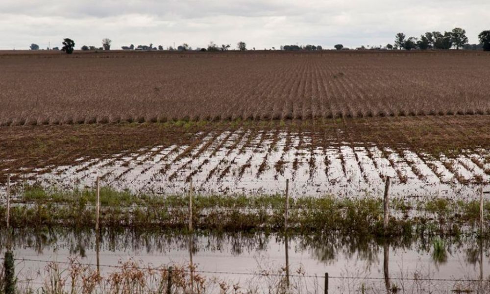 Beneficios impositivos y planes de pago para productores