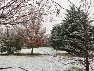 Nevada en Córdoba: Las Altas Cumbres y varias localidades amanecieron cubiertas de blanco