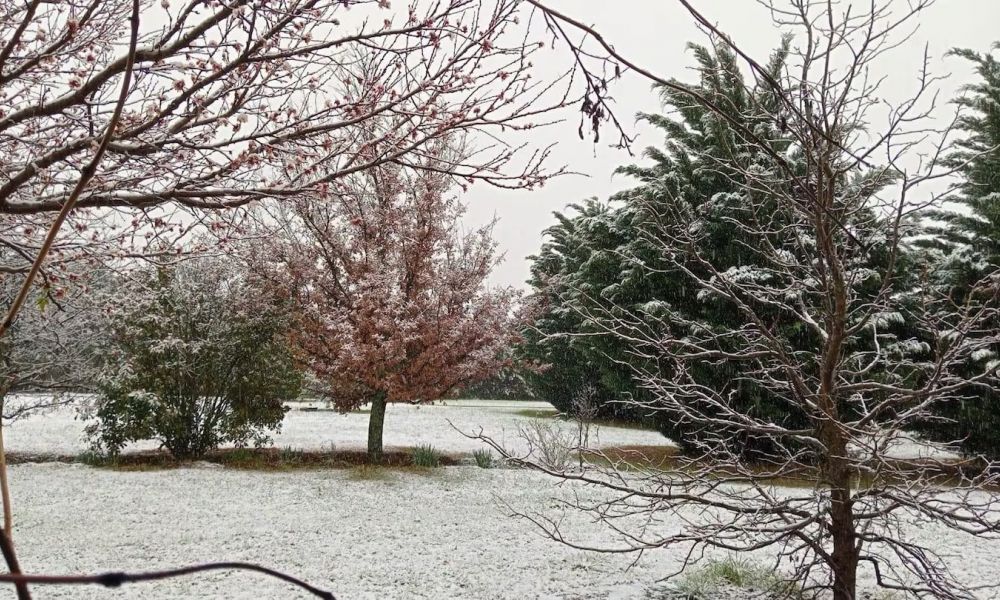 Nevada en Córdoba