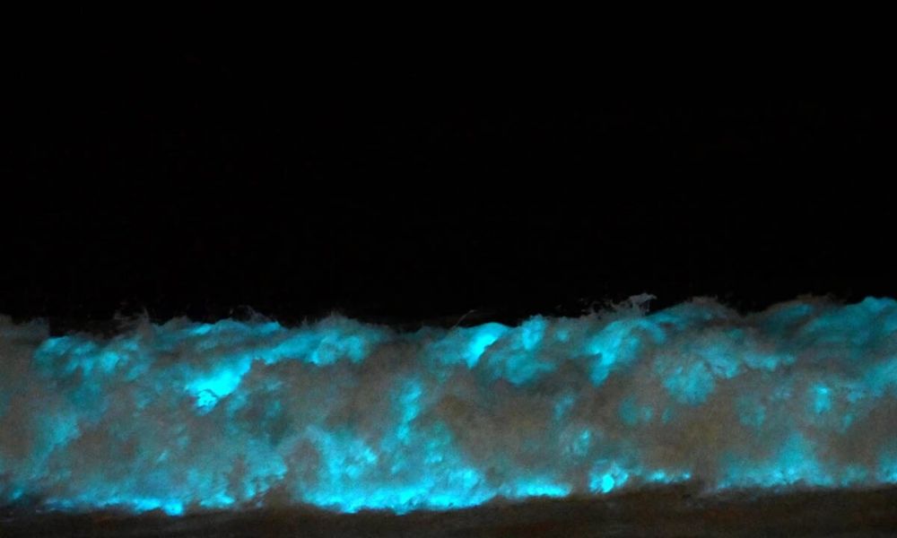 Olas brillantes y azules en Mar del Plata