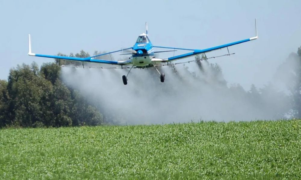 Pergamino lleva la contaminación a juicio
