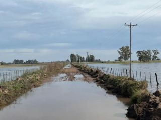 Declaran la emergencia agropecuaria en diez municipios bonaerenses