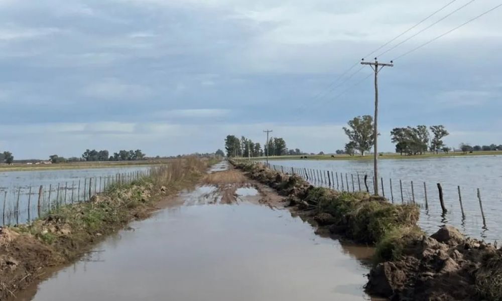 Declaran la emergencia agropecuaria en diez municipios