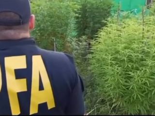 Golpe al cibercrimen: Detienen a un prfugo en Mar del Plata