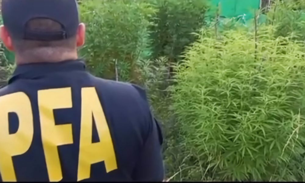 Golpe al cibercrimen: Detienen a un prófugo en Mar del Plata