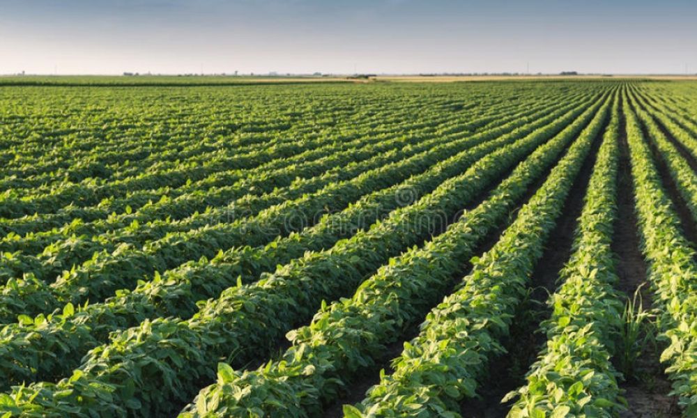 Reclamo de la CRA al gobierno