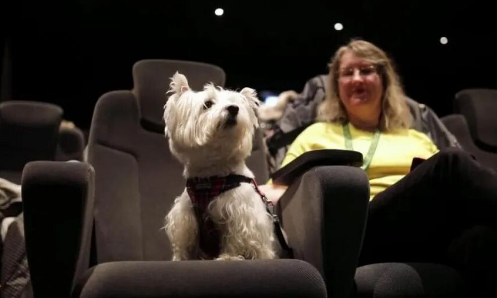 Función de cine para perros