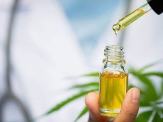 San Nicol�s reglamenta el cultivo de cannabis medicinal