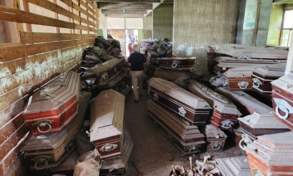 Descubrimiento macabro en cementerio de La Plata