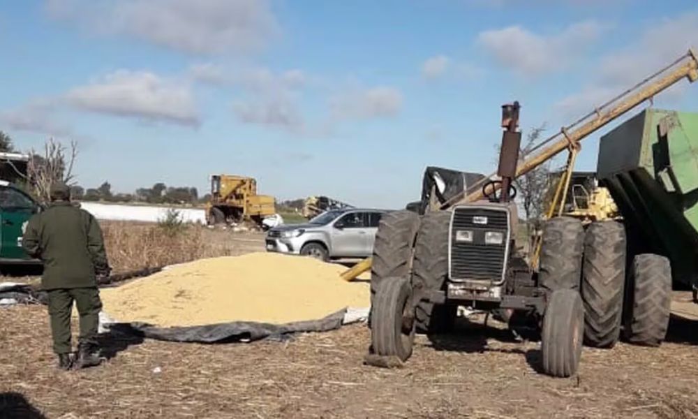 Intento de robo de soja por más de $200 millones