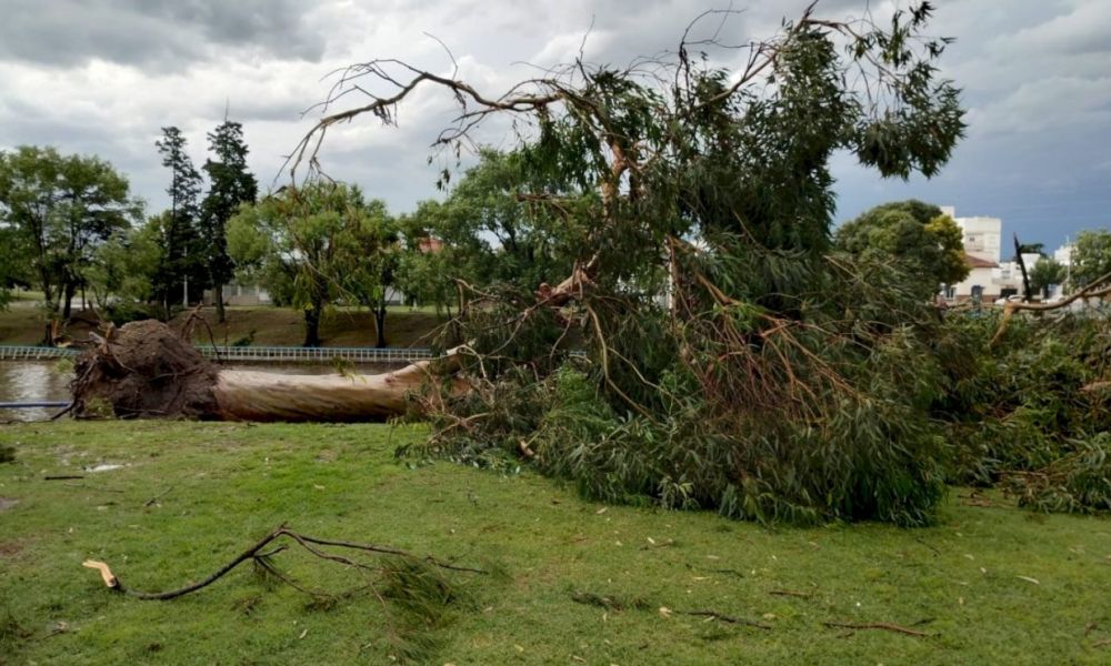 Olavarría en emergencia