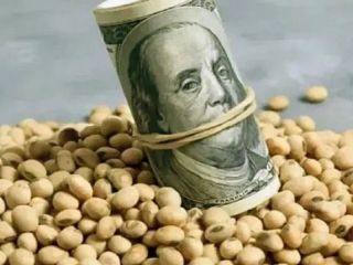 Los agroexportadores liquidaron US$ 2.218 millones desde la vigencia del dlar agro