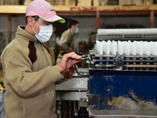 Proyecto de ley reconvierte planes en trabajo genuino