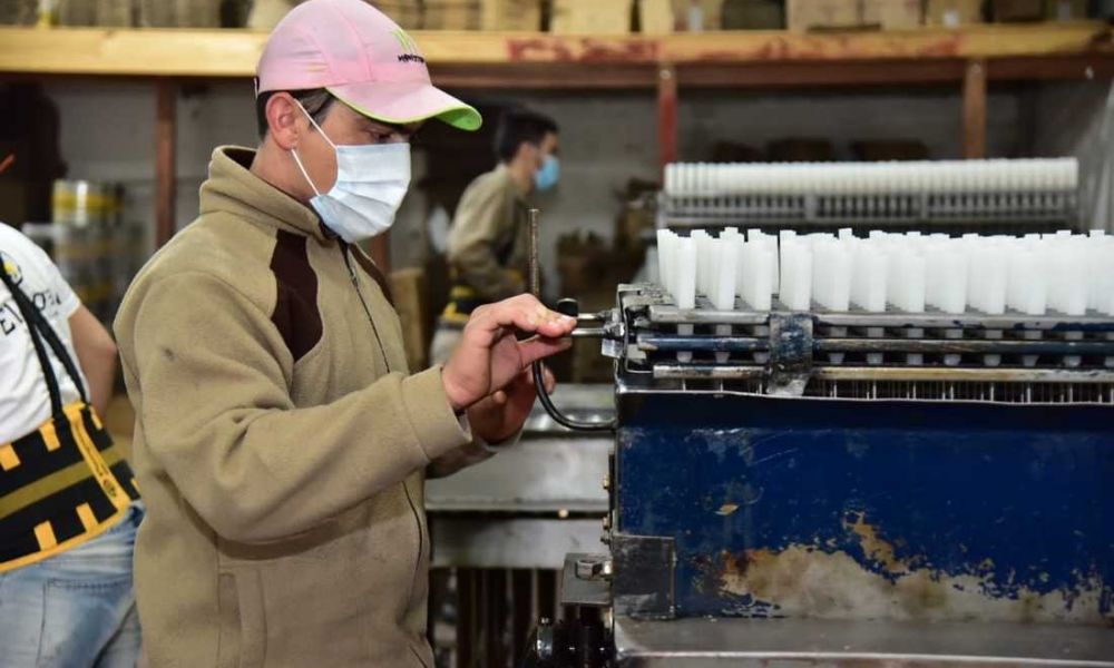 Proyecto de ley reconvierte planes en trabajo genuino