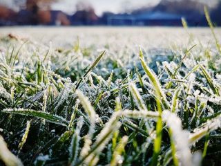 Alerta roja por temperaturas extremas en la provincia de Buenos Aires