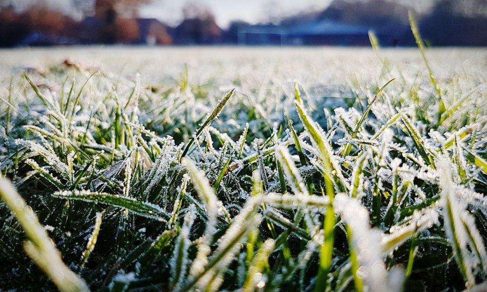 Alerta roja por temperaturas extremas