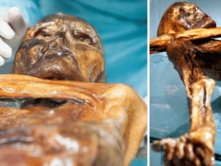 Otzi sigue sorprendiendo a la ciencia: Descubren microorganismos que lo acompañan desde hace más de 5.300 años