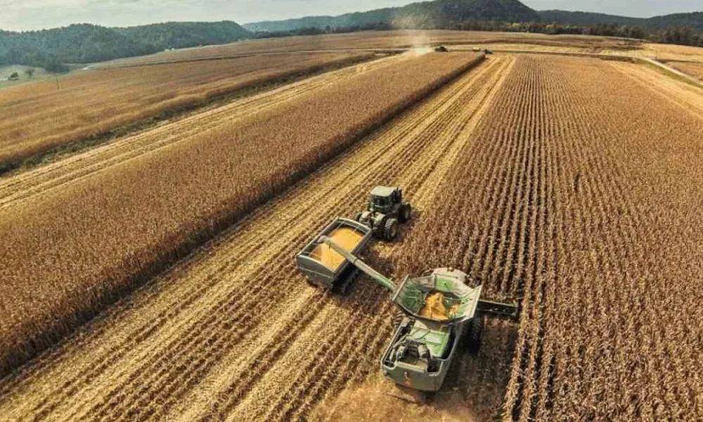 La soja vuelve a escalar y marca su precio más alto