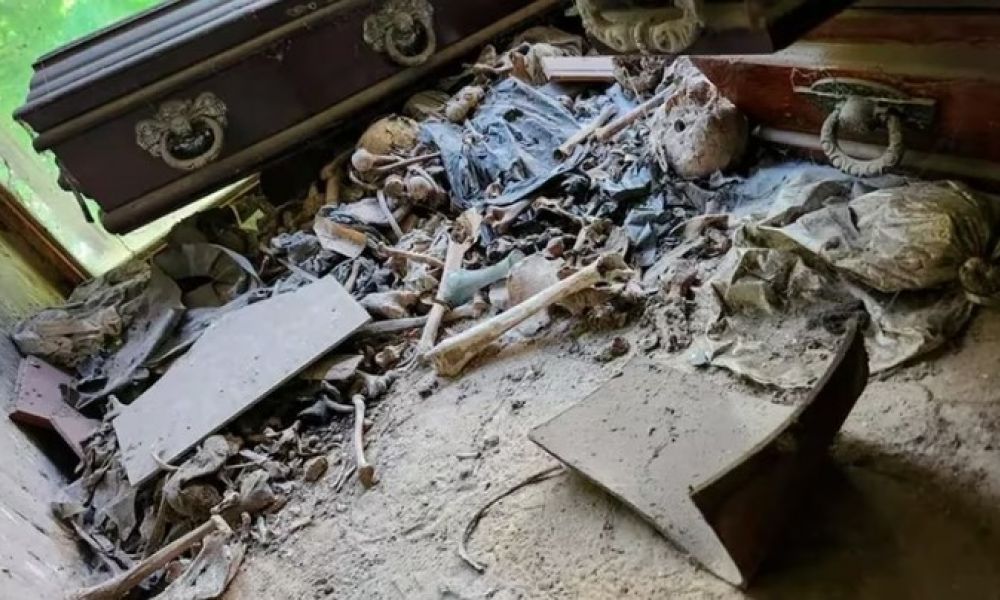 Descubrimiento macabro en cementerio de La Plata