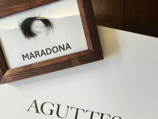 Cunto pagaras por un mechn de Maradona?
