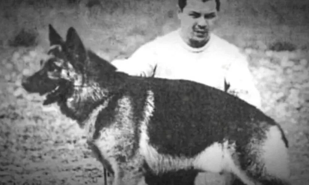 Chonino, el perro de la Policía Federal