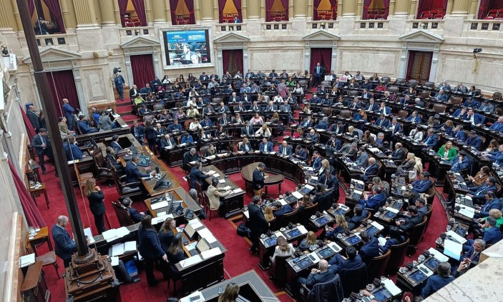 Diputados aprobÃ³ la nueva Ley de Discapacidad