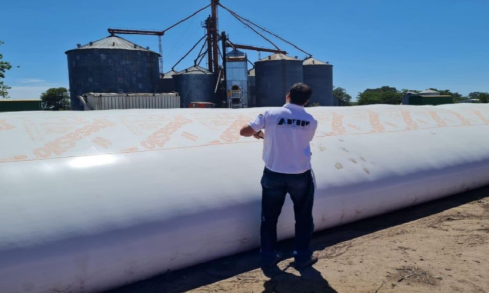 Incautan más de 800 toneladas de maíz no declarado