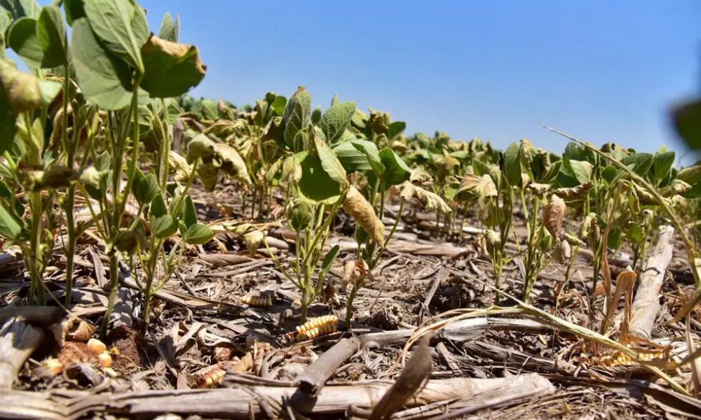 La sequía en Argentina
