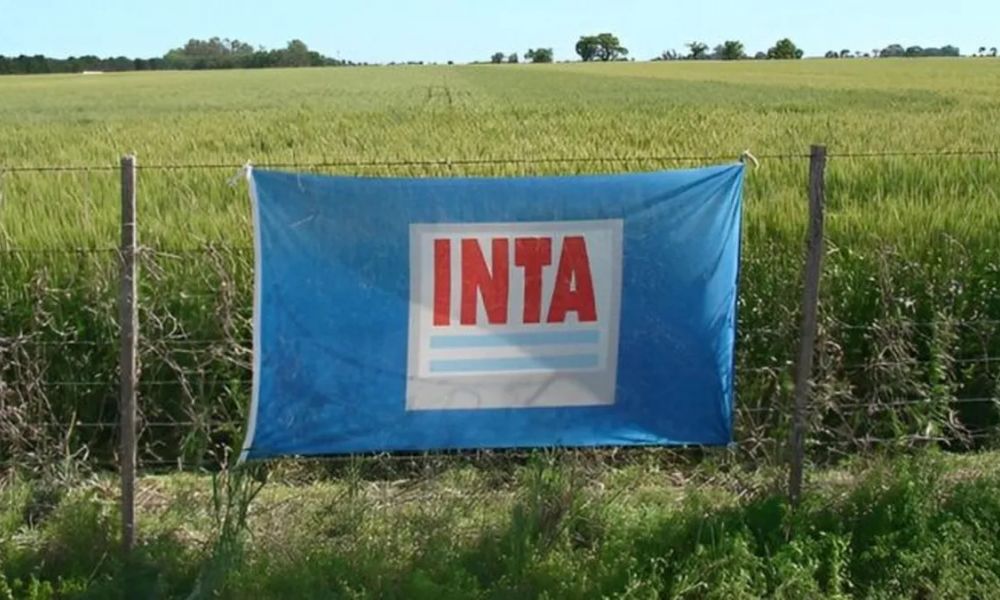 La Justicia suspendió el ajuste del INTA