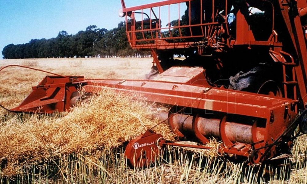 El sector agroexportador liquidó US$ 19.100 millones