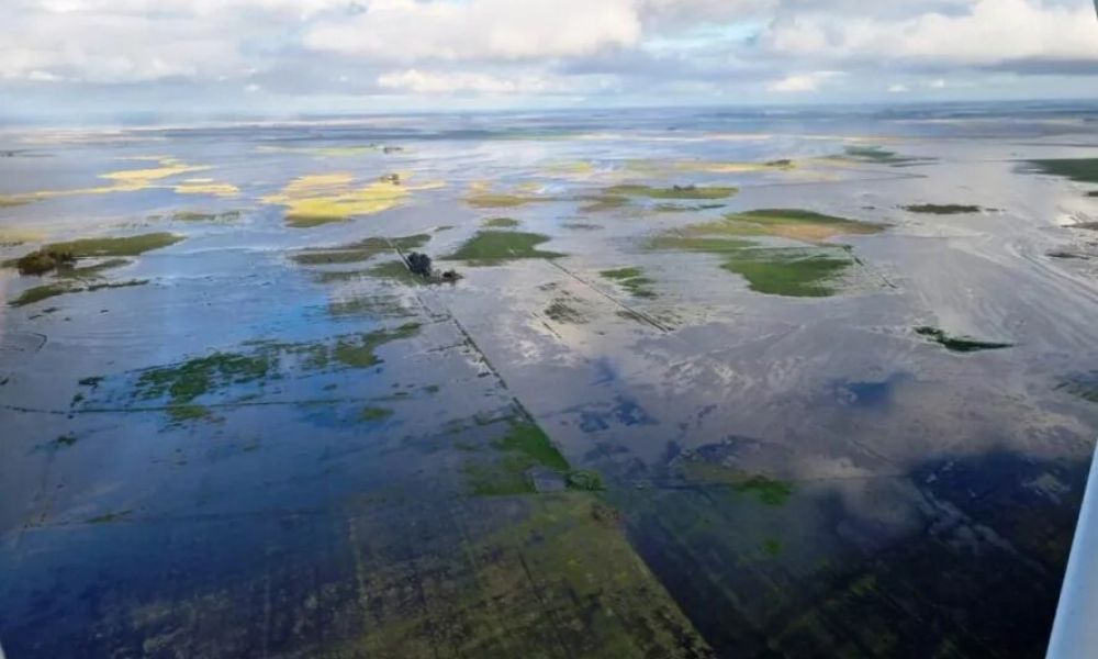 Desastre agropecuario en Hipólito Yrigoyen y Villegas